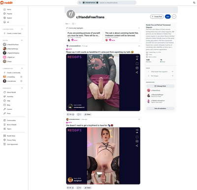 HandsFreeTrans